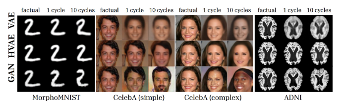 Figure 4: Qualitative evaluation of composition across all datasets/graphs. From left to right across
          all datasets: (i) factual, (ii) null-intervention (reconstruction) (iii) 10 cycles of null-intervention